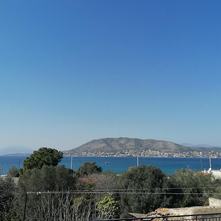 فيلا Welcome In Salamina المظهر الخارجي الصورة